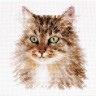 Набор для вышивания Алиса 1-35 Сибирская кошка