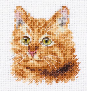 Алиса 0-207 Животные в портретах. Рыжий кот