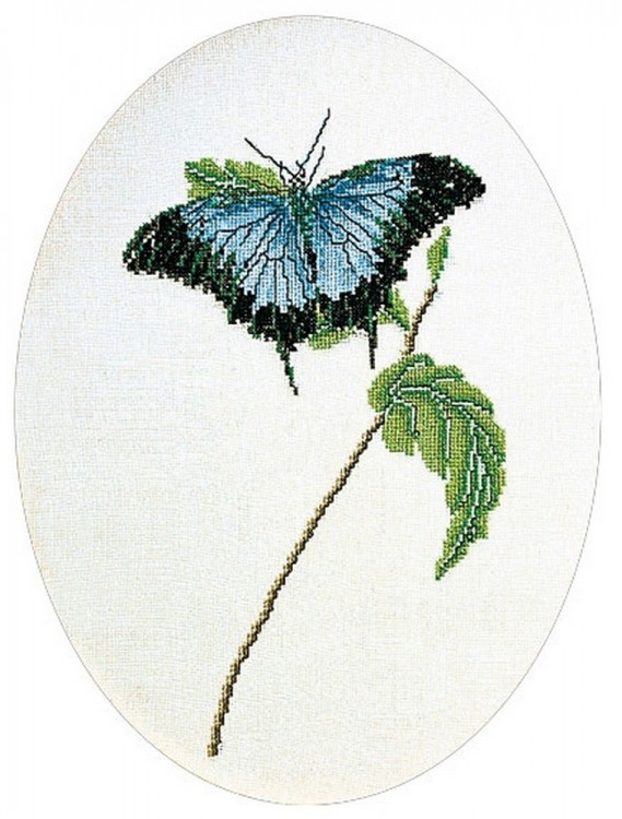 Набор для вышивания Thea Gouverneur 1024 Butterfly blue (Бабочка голубая)