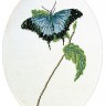 Набор для вышивания Thea Gouverneur 1024 Butterfly blue (Бабочка голубая)