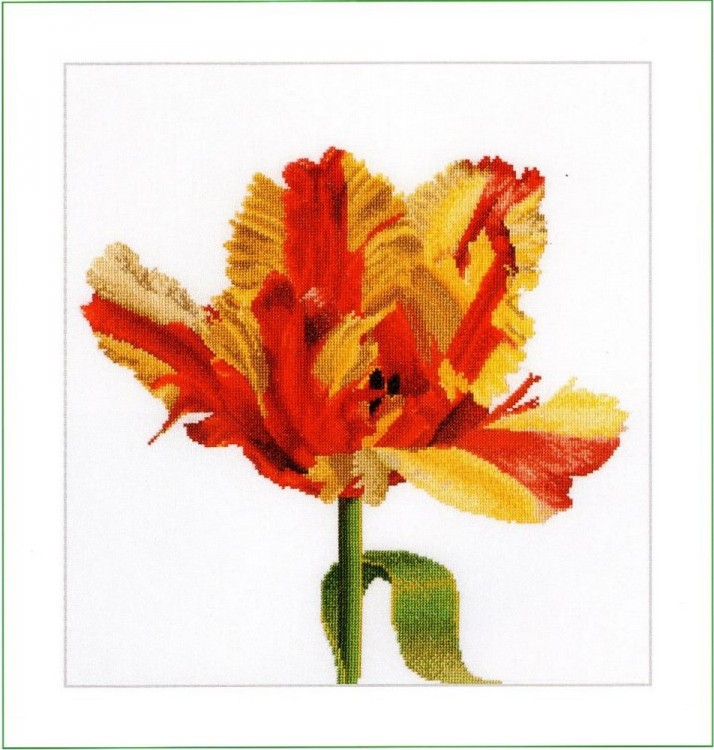 Набор для вышивания Thea Gouverneur 519 Red-Yellow Parrot Tulip Красно-желтый попугайный тюльпан)