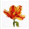 Набор для вышивания Thea Gouverneur 519 Red-Yellow Parrot Tulip Красно-желтый попугайный тюльпан)