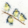 Bothy Threads XHD4 Sweet Tweet (Нежное чириканье)