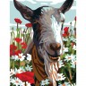 Collection D'Art 3342 Ткань с рисунком для вышивания