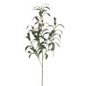 Fiebiger Floristik 162735-809 Ветка декоративная "Олива"