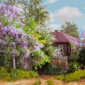 Белоснежка 565-AS Солнечный день