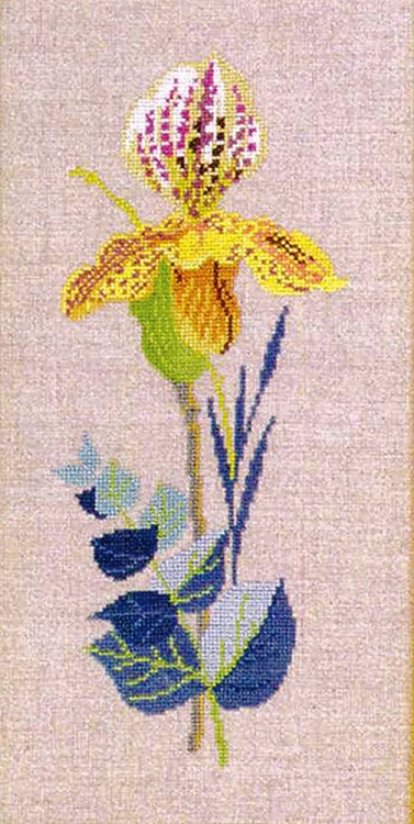 Набор для вышивания Eva Rosenstand 14-465 Желтые орхидеи