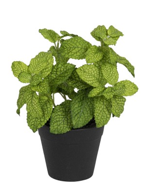 Fiebiger Floristik 106280-800 Цветок декоративный в кашпо "Мята"