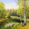 Матренин Посад 4240 Березовая роща
