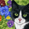 Белоснежка 294-AS Кот в анютиных глазках