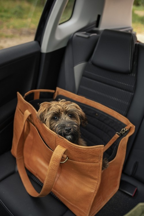 Muud QB-4464R2/Whisky Сумка-переноска "Clara-XL"