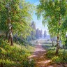 Каролинка ТКБП 3066 Берёзовая роща