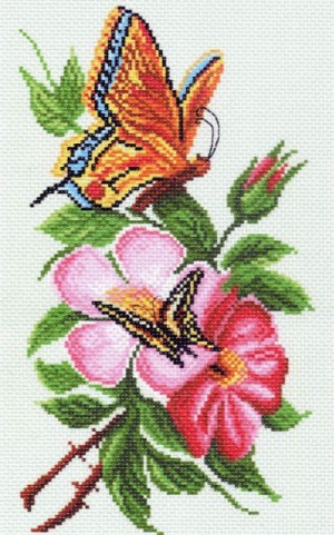 Матренин Посад 1065 Бабочка на цветке