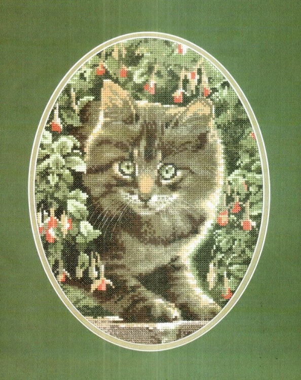 Набор для вышивания Heritage JSTR303E Tabby Kitten (Полосатый котенок)