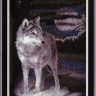 Набор для вышивания Панна J-0462 (Ж-0462) Белый волк