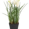 Fiebiger Floristik 203194-100 Цветок декоративный в кашпо "Мускари"