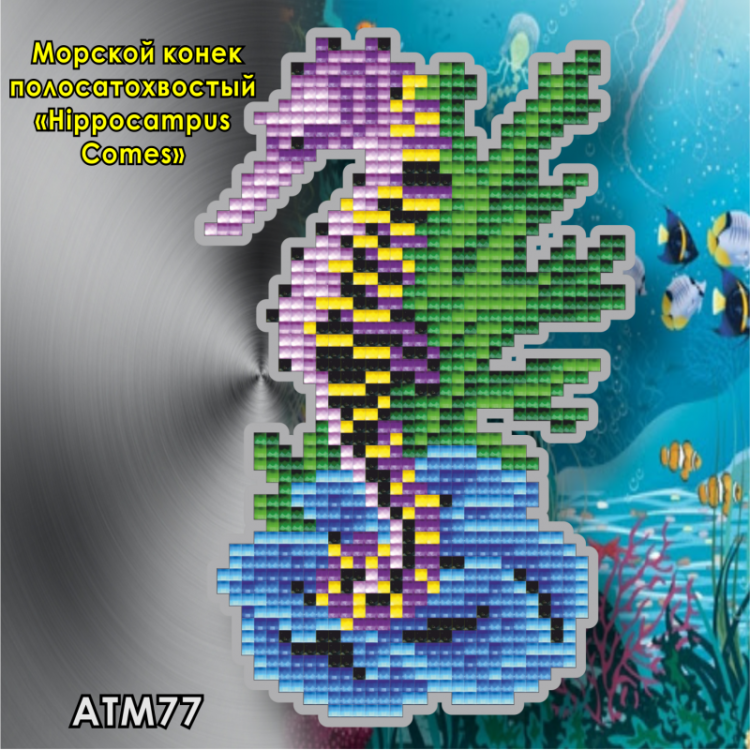 Арт Соло АТМ77 Магнит "Морской конек полосатохвостый (Hippocampus Comes)"