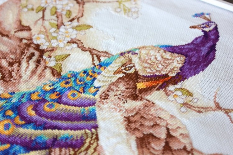 Luca-S B459 Павлины