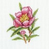 Набор для вышивания РТО C183 Цветок олеандра