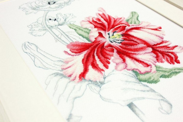 Luca-S B2241 Красная лилия