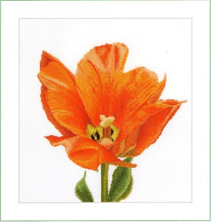 Набор для вышивания Thea Gouverneur 523 Orange Triumph Tulip