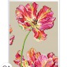 Набор для вышивания Collection D'Art BC8113 Тюльпан