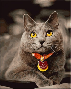 Paintboy GX21645 Британский кот