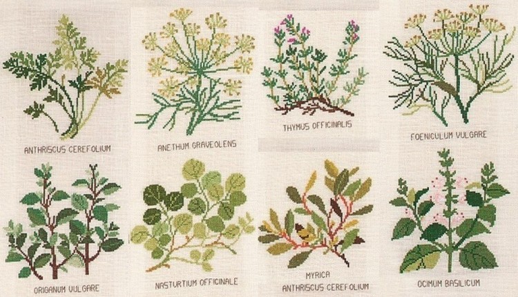 Eva Rosenstand 09-4574 Травы