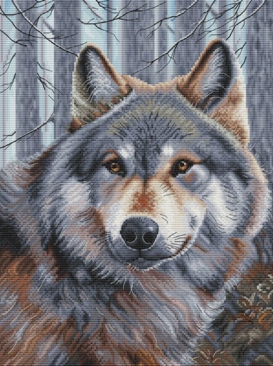 Набор для вышивания Белоснежка 200-14 Волк