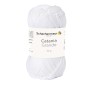 Schachenmayr 9807331-03106