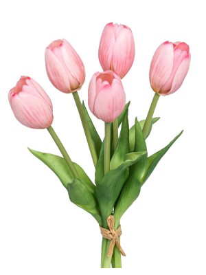 Fiebiger Floristik 203610-400 Букет декоративный "Тюльпан"