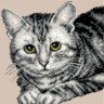 Матренин Посад 0886 Дымок