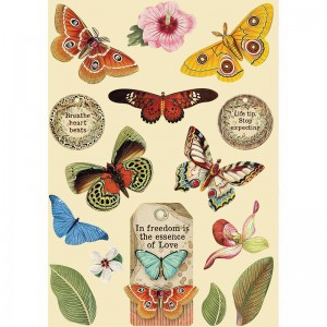 Stamperia KLSP093 Набор высеченных декоративных элементов "Амазония - бабочка"