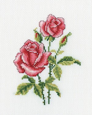 РТО C185 Розы