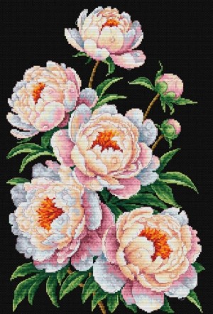 Многоцветница МКН 175-14 Белое на черном. Пионы