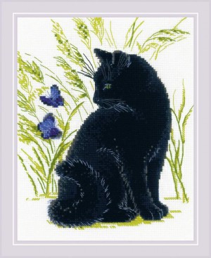 Риолис 2001 Черный кот