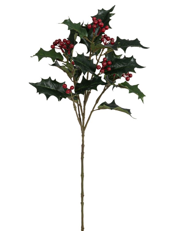 Fiebiger Floristik 212809-805 Ветка декоративная "Падуб"