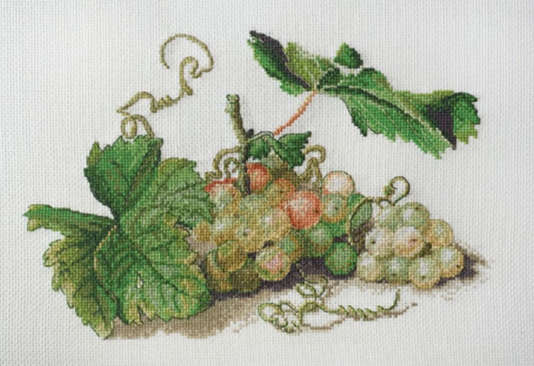 Набор для вышивания Марья Искусница 06.001.18 Ветка винограда