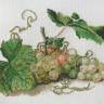 Набор для вышивания Марья Искусница 06.001.18 Ветка винограда