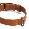 Muud QB-4488/35cm/Whisky Ошейник "Cate", 35 см