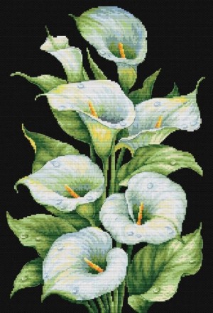 Многоцветница МКН 174-14 Каллы