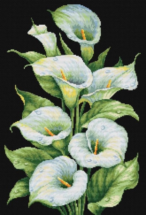 Многоцветница МКН 174-14 Каллы