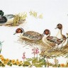 Набор для вышивания Thea Gouverneur 2064 Ducks (Утки)