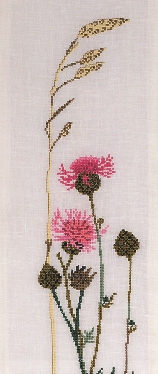 Eva Rosenstand 09-2458 Василек