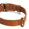 Muud QB-4488/40cm/Whisky Ошейник "Cate", 40 см