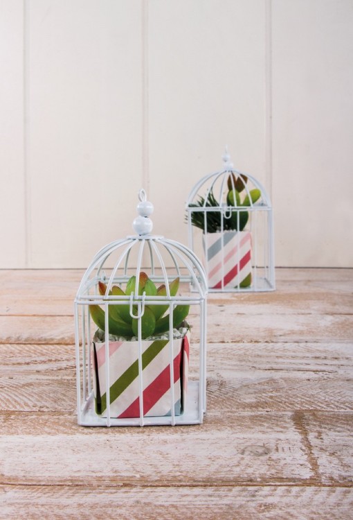 Rayher 46368102 Декоративная клетка