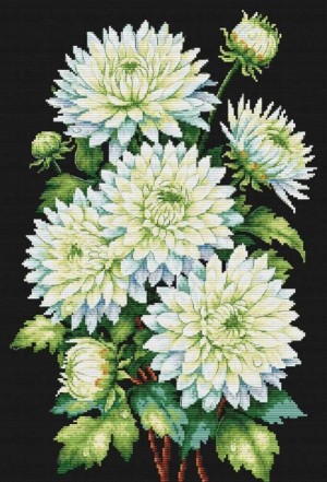 Многоцветница МКН 176-14 Белое на черном. Хризантемы