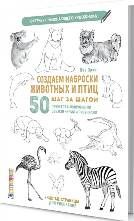 Скетчбук. Создаем наброски животных и птиц (зебра белая)