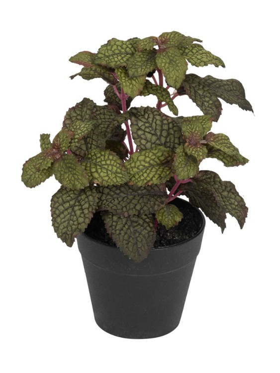 Fiebiger Floristik 106280-855 Цветок декоративный в кашпо "Мята"