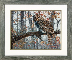 Dimensions 70-35311 Wise Owl (Мудрая сова)
